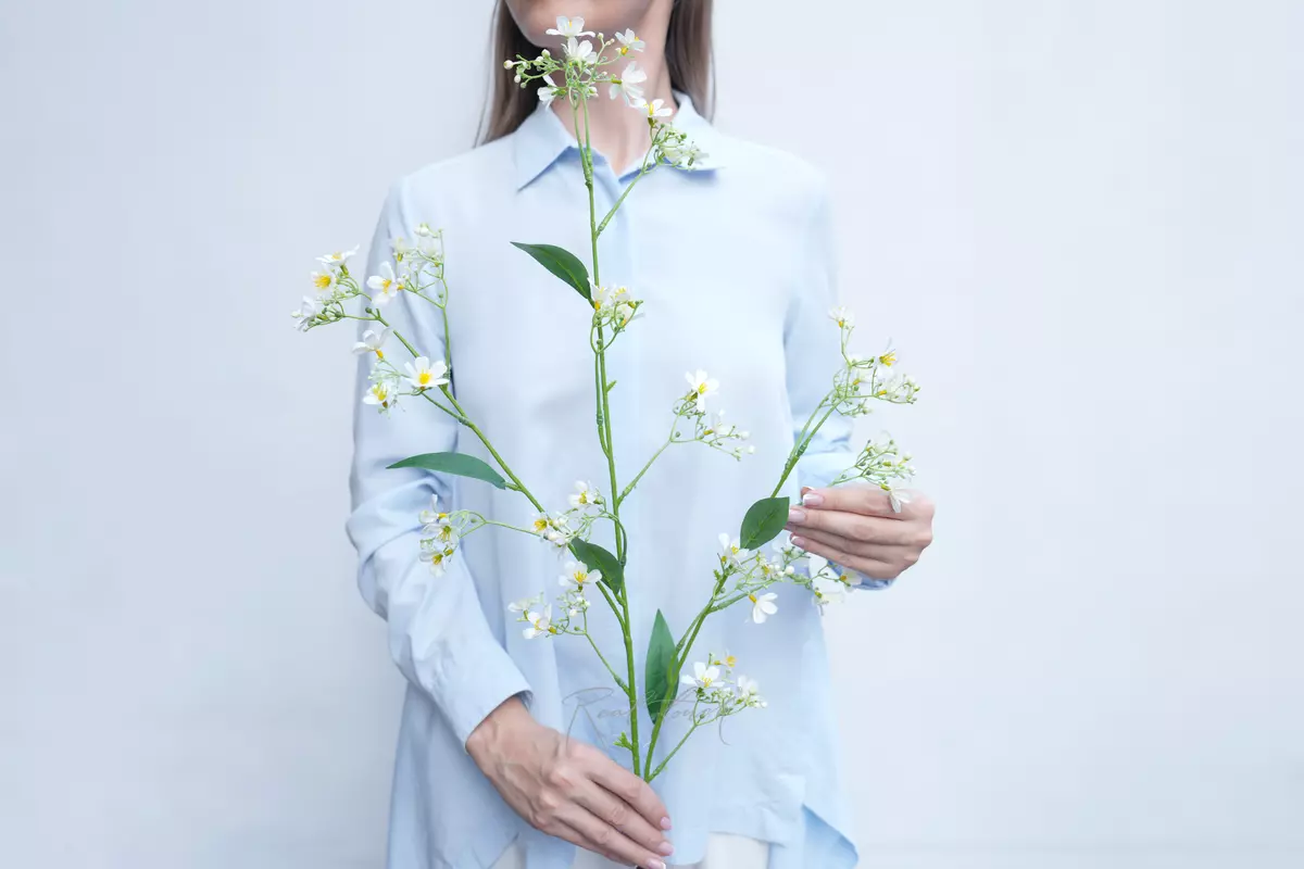 Creeping Gypsophila - white