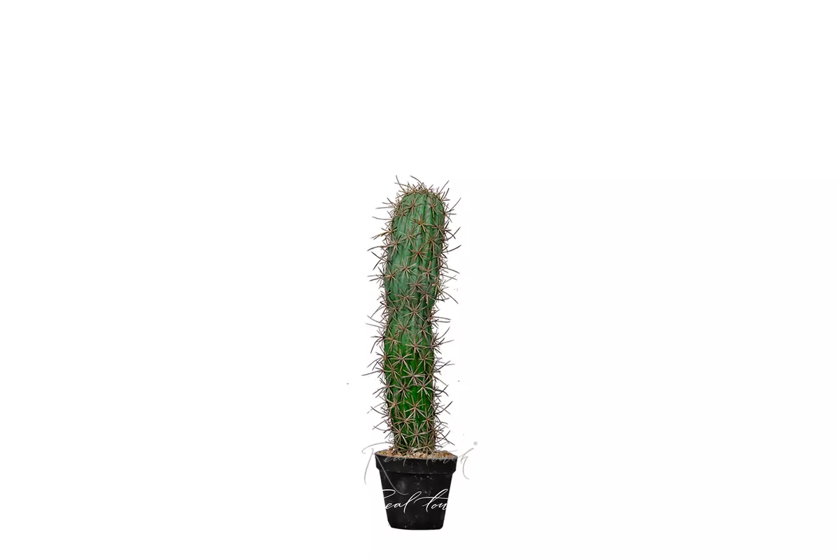 Artificial San Pedro Cactus Trichocereus 50cm  - green