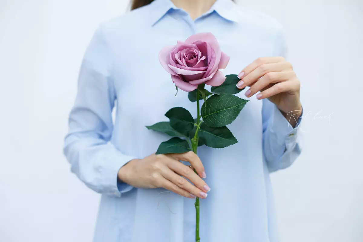 Tiara Garden Roses - Lilac