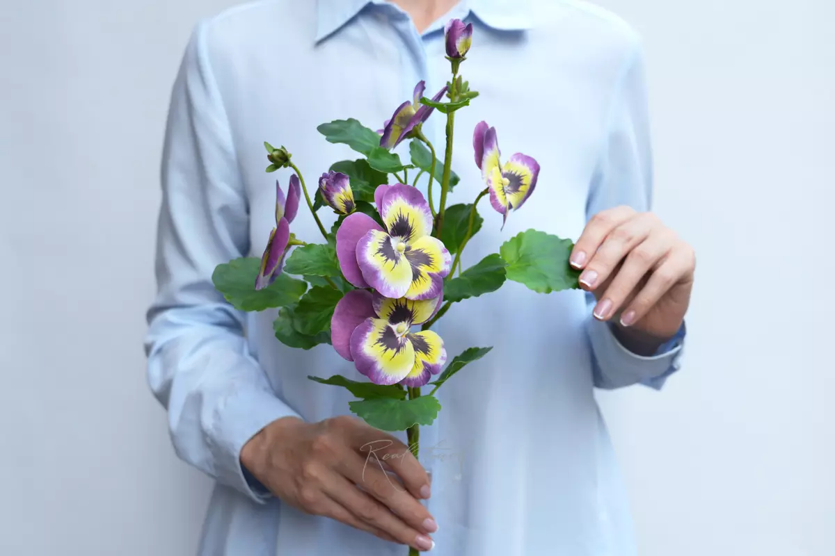 Pansies - purple