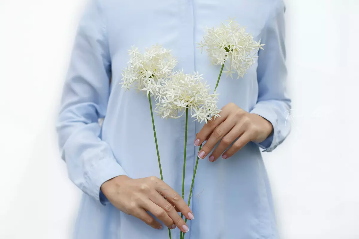 Allium with 3 inflorescences - white