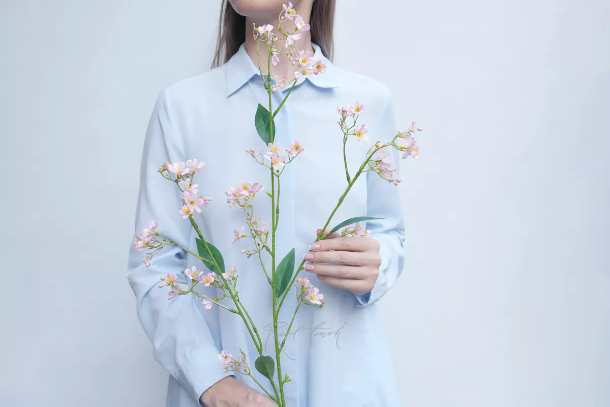 Creeping Gypsophila - pink