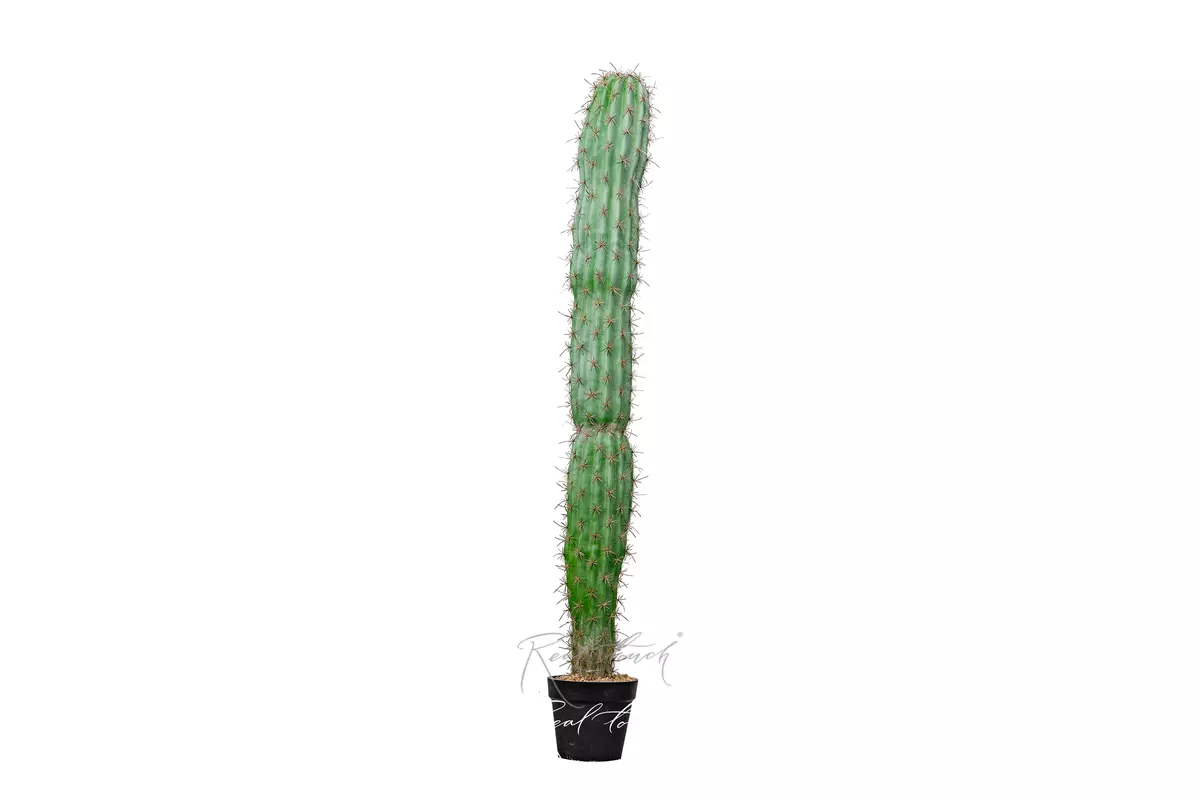 Artificial San Pedro Cactus Trichocereus 150cm  - green
