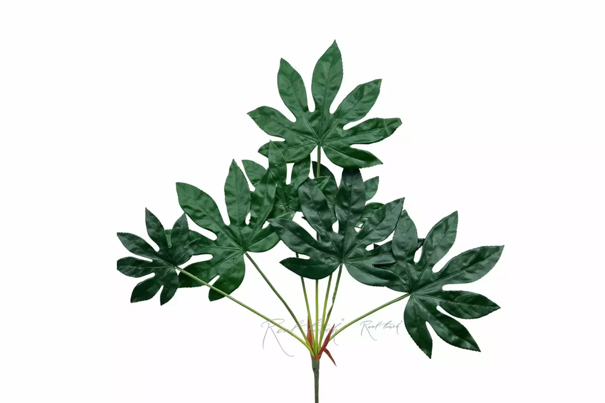 Fatsia bush of 7 leaves 79cm - green