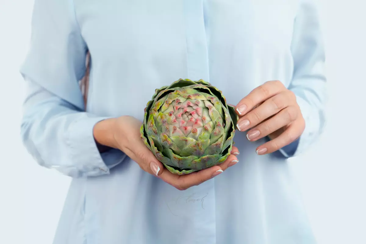 Artichoke round - Green pink