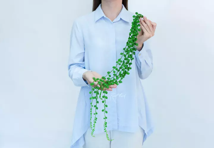 Succulent 406 (Senecio Strings of pearls) - green