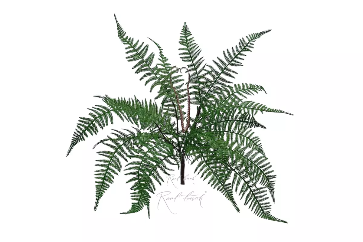 Real Touch Polystichum Shield Fern - green Real Touch Polystichum Shield Fern - green