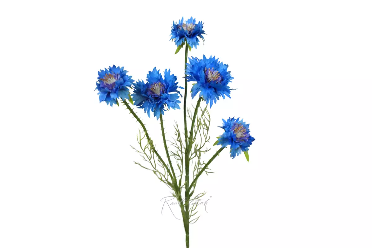 Cornflower branch 56cm (5 inflorescences) - blue