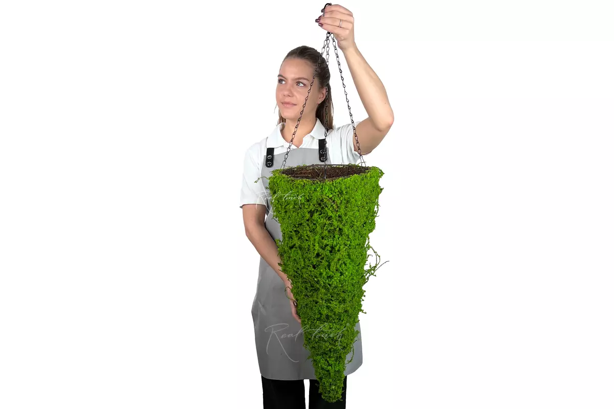 Hanging planter Cone Moss 5# - green