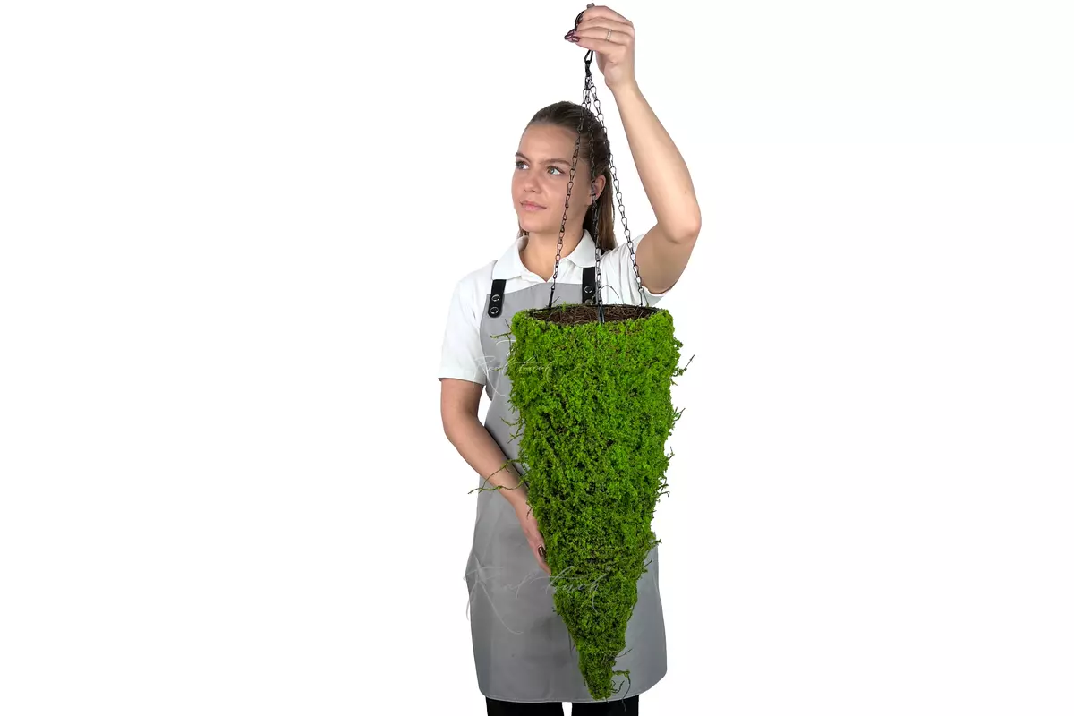 Hanging planter Cone Moss 4# - green
