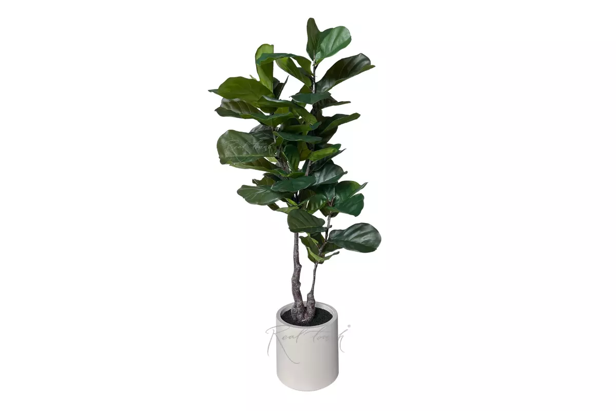 Artificial Ficus Lirata in a decorative pot 145cm - green