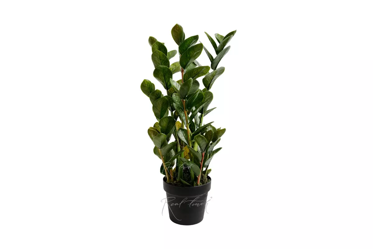 Real Touch Zamioculcas bush 67cm  - green