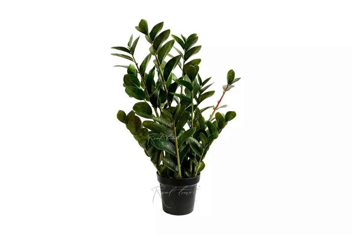 Real Touch Zamioculcas bush 90cm  - green
