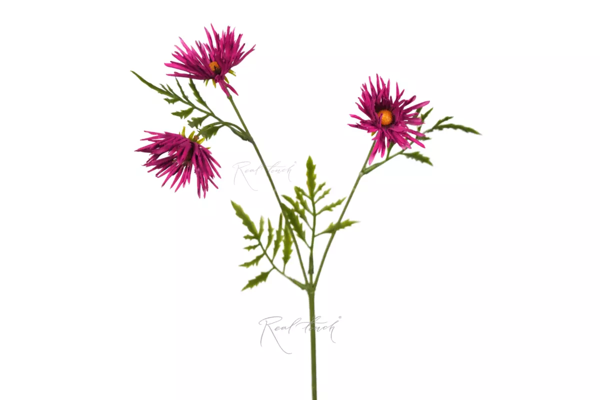 Chrysanthemum Needle 43cm (3 inflorescences) - fuchsia