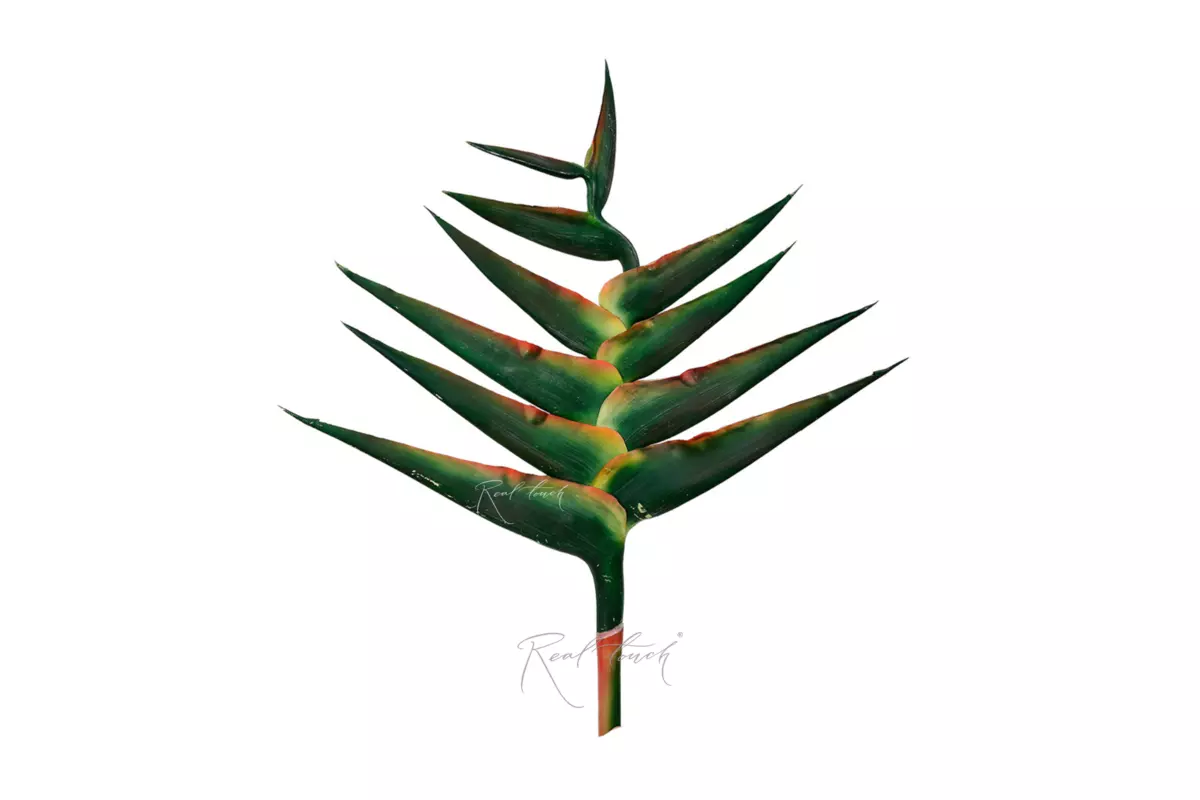 Ravenala 125cm - green