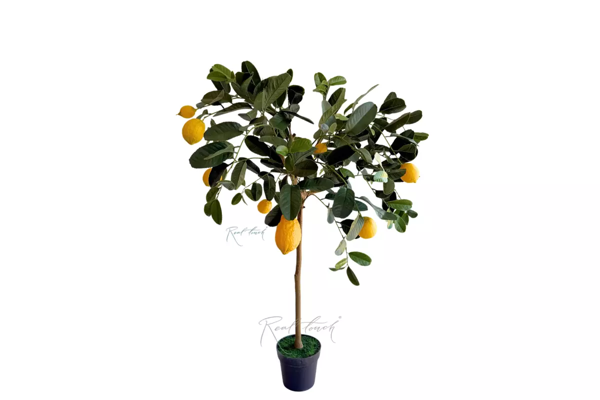 Lemon tree 125cm with UV protection - green