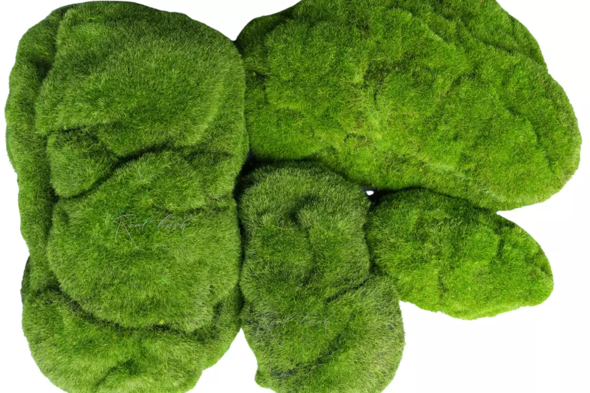 Moss hummocks (set of 4 pcs) (color shade 1) - green