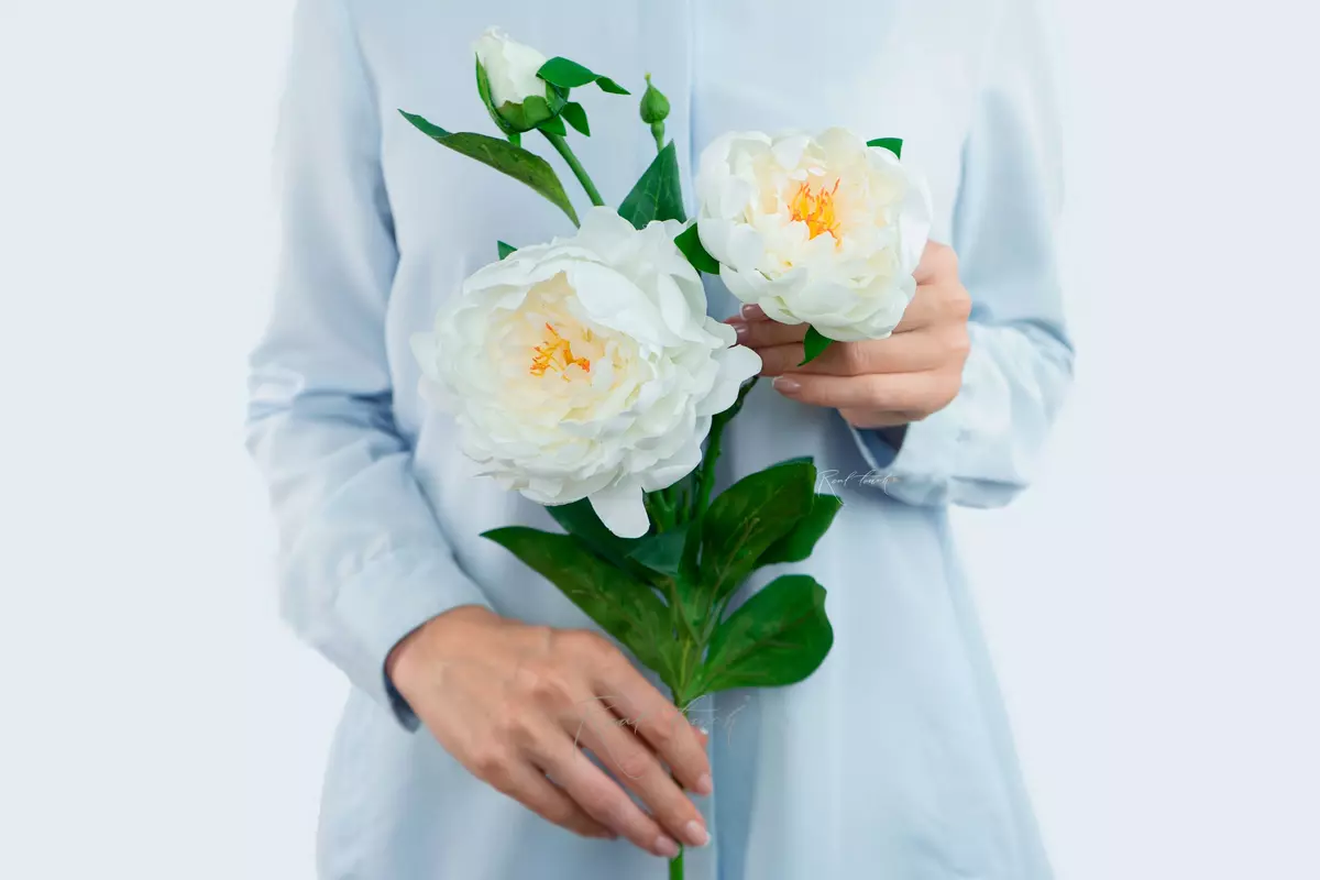 Tree peony (2 inflorescences) - white