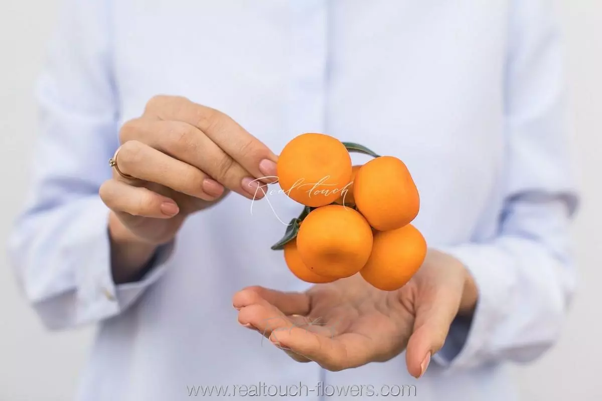 Branch with tangerines from 5pcs - orange