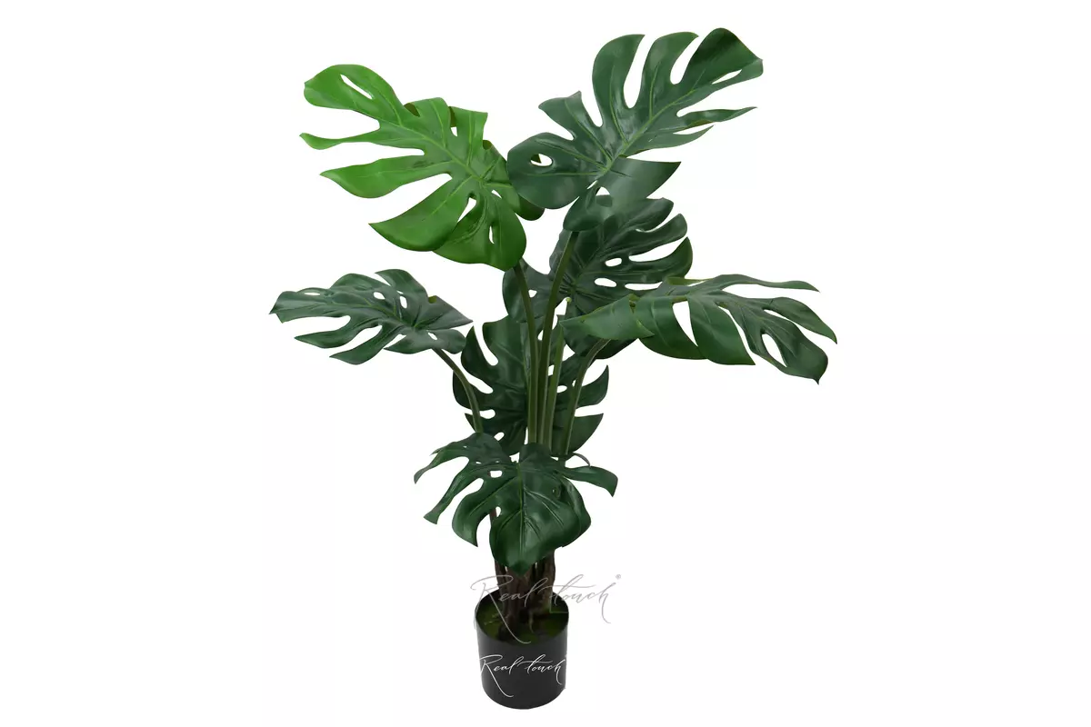 Monstera bush 120 cm in the planters - green