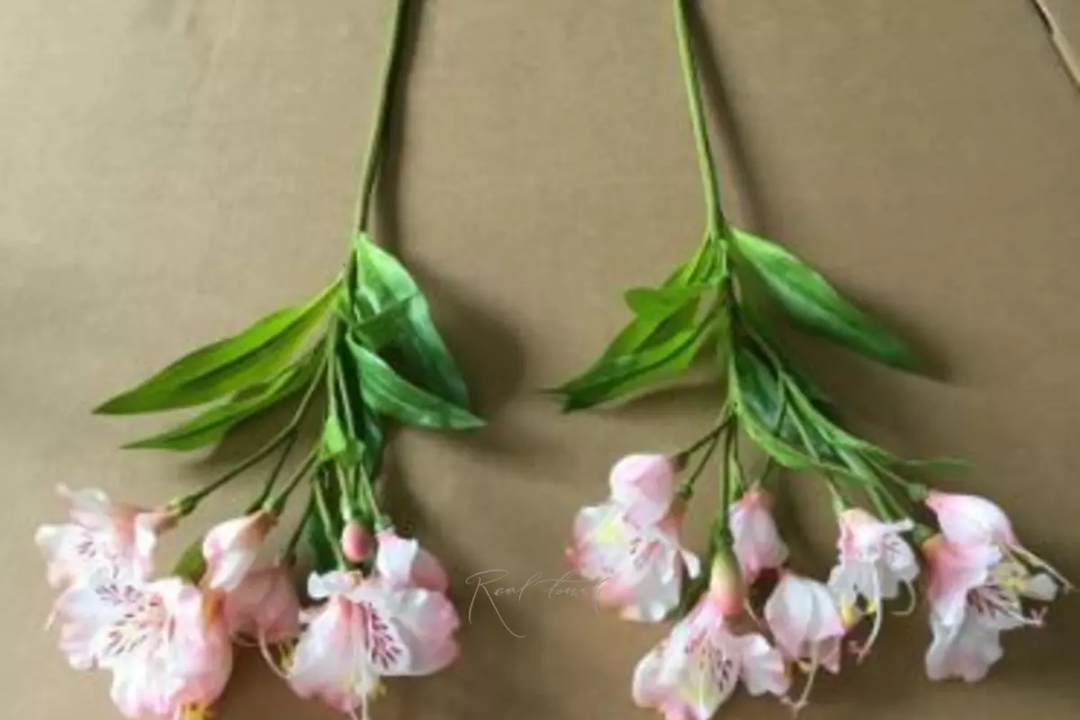 Alstroemeria - light pink