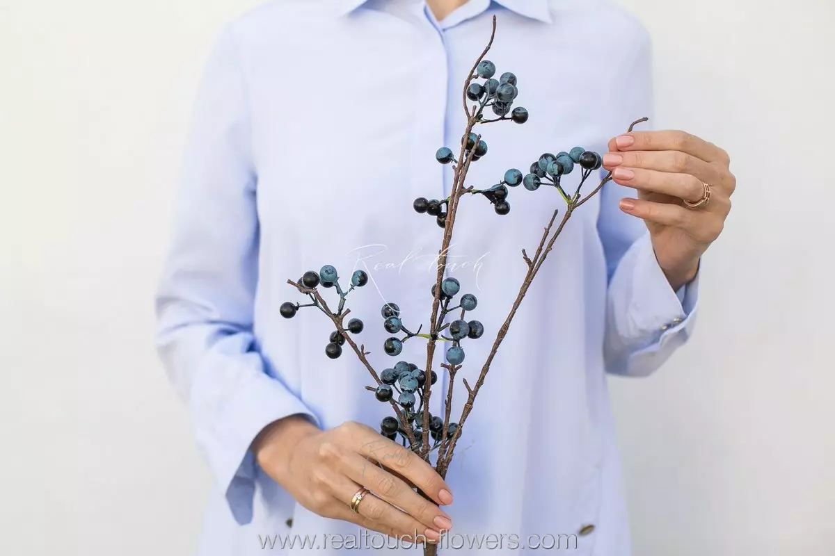 Blackthorn - blue