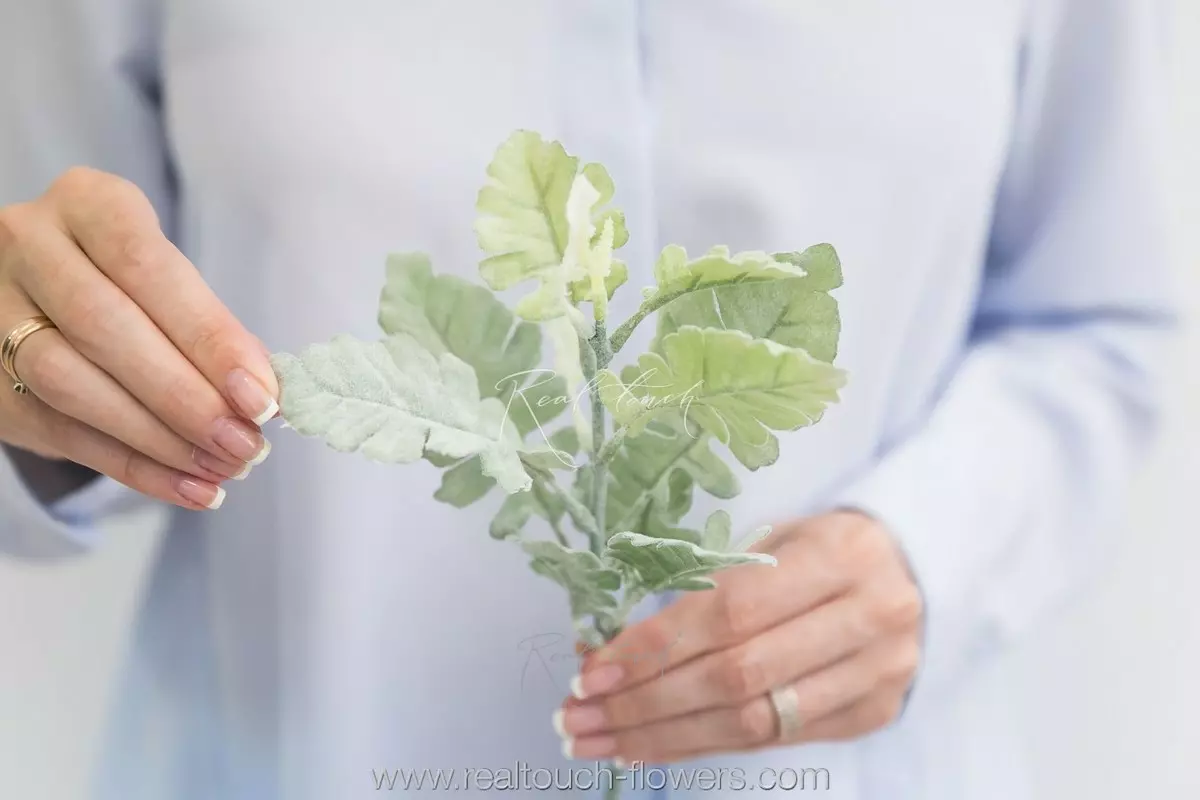 Artificial Cineraria Silver Dust Plant - dusty green