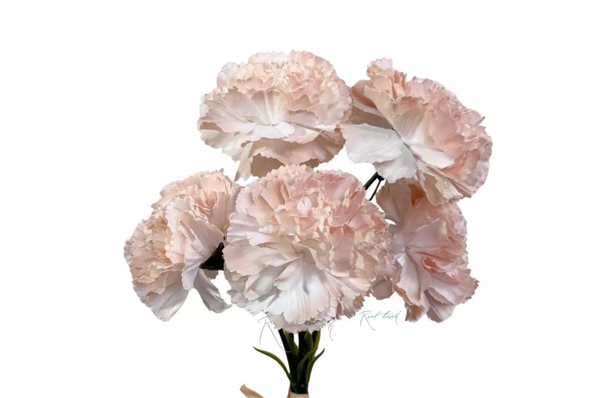 Bouquet of Carnations from 5 pieces - Coffee