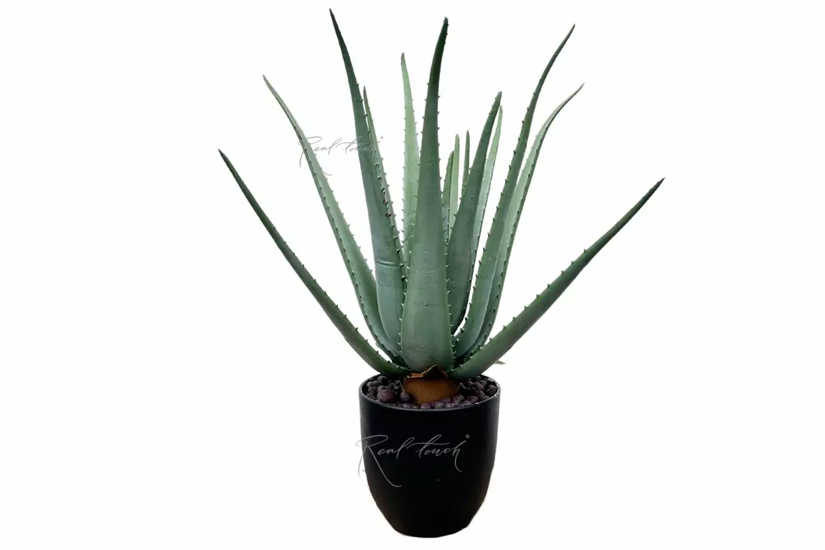 Aloe in a pot 19" - green