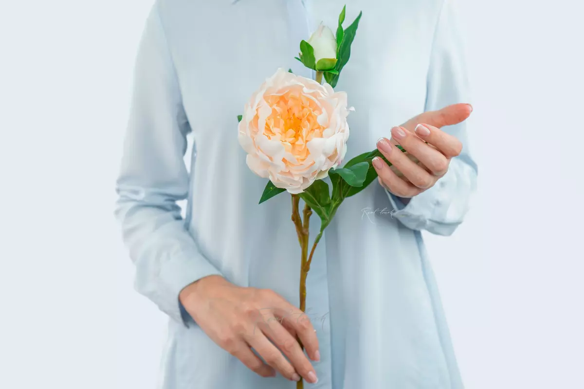 Tree peony (1 inflorescence) - Light peach