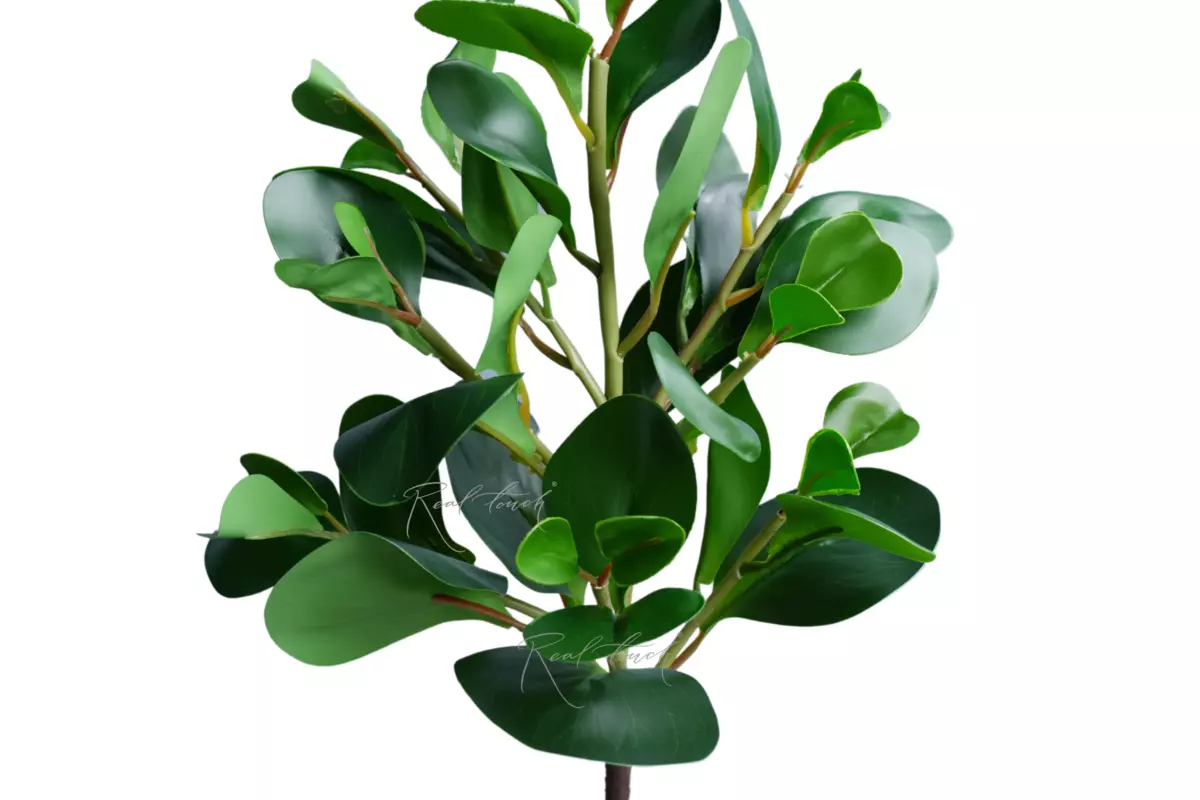 Branch with watercress leaves (8 branches) - green