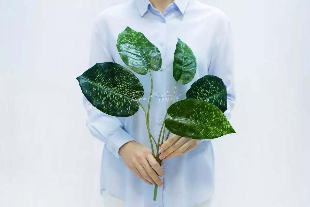 Calathea network 46cm - green