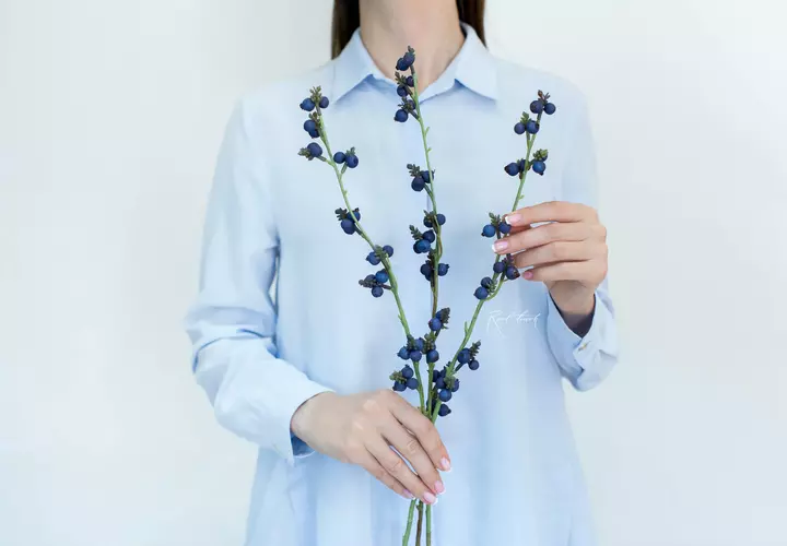 Branch with berries (Bundle of 3 pieces) - blue