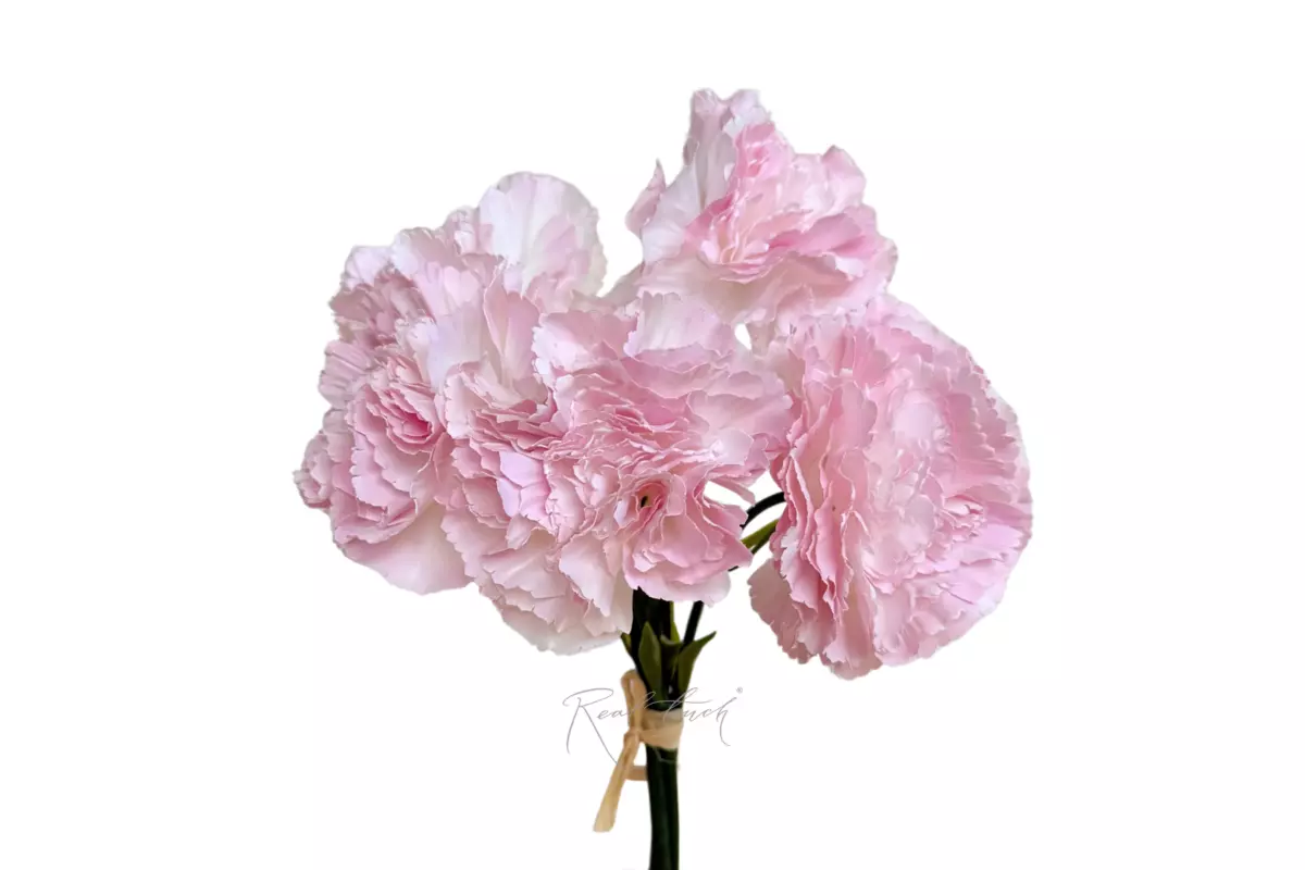Bouquet of Carnations from 5 pieces - light purple 