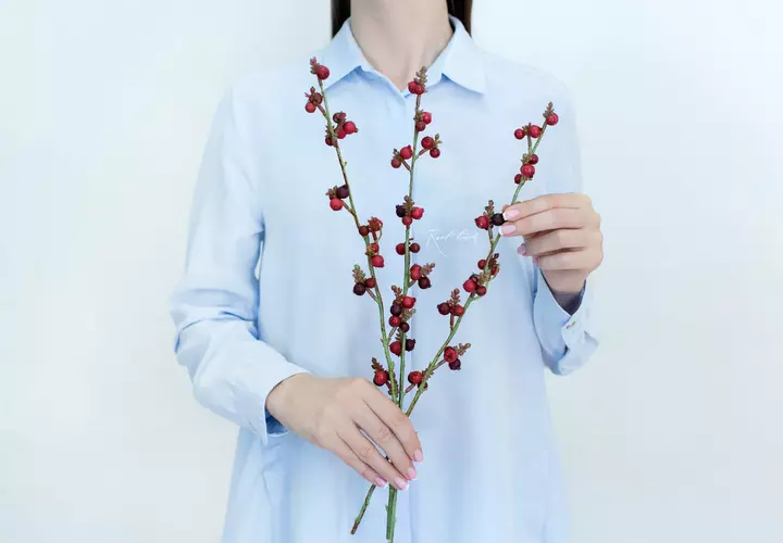 Branch with berries (Bundle of 3 pieces) - red