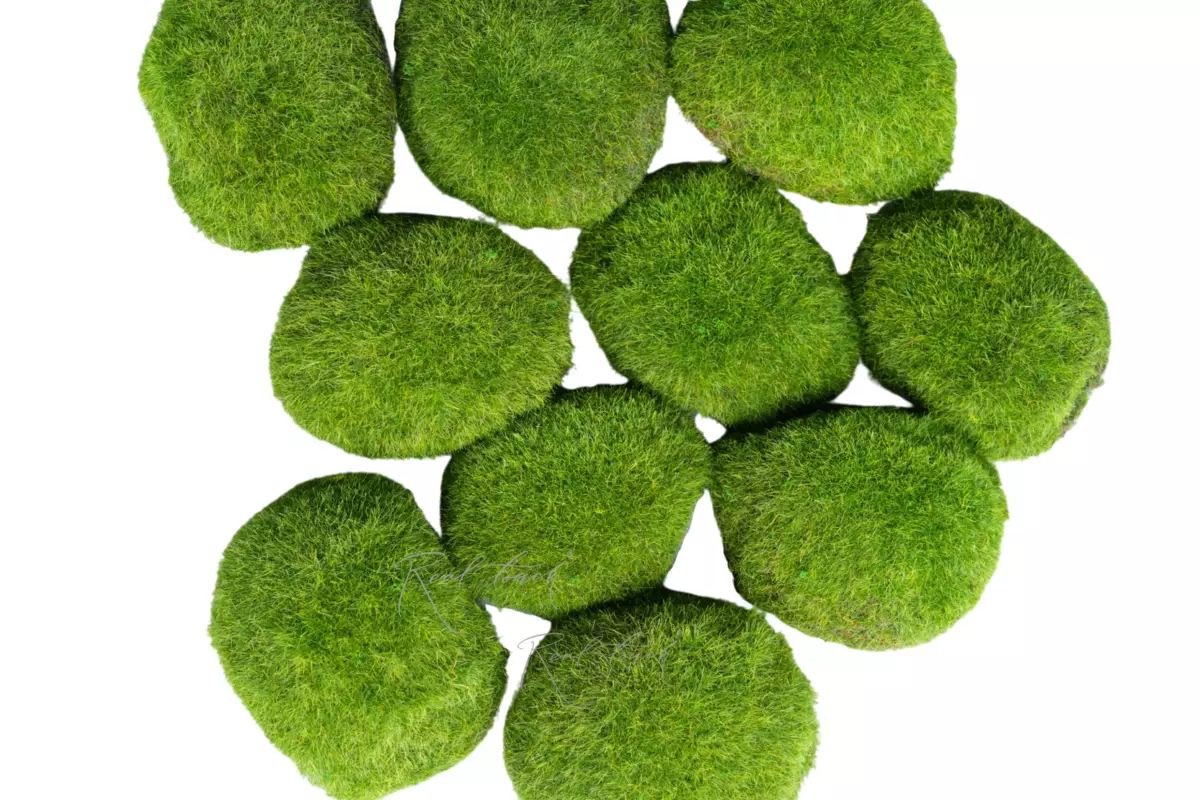 Moss hummocks (set of 9 pcs) - light green
