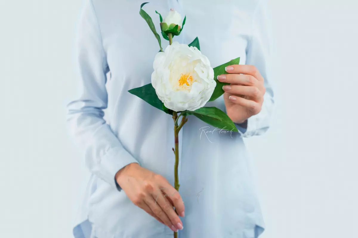Tree peony (1 inflorescence) - white