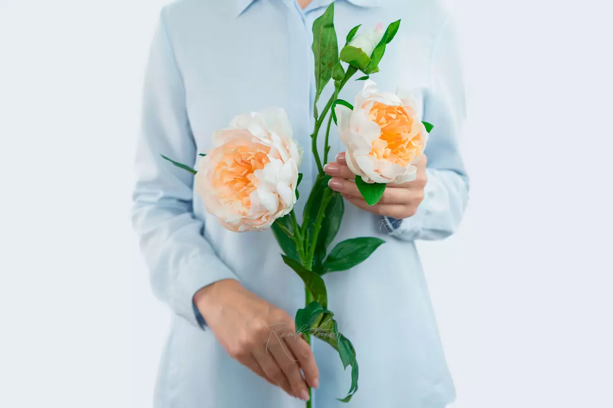 Tree peony (2 inflorescences) - Light peach