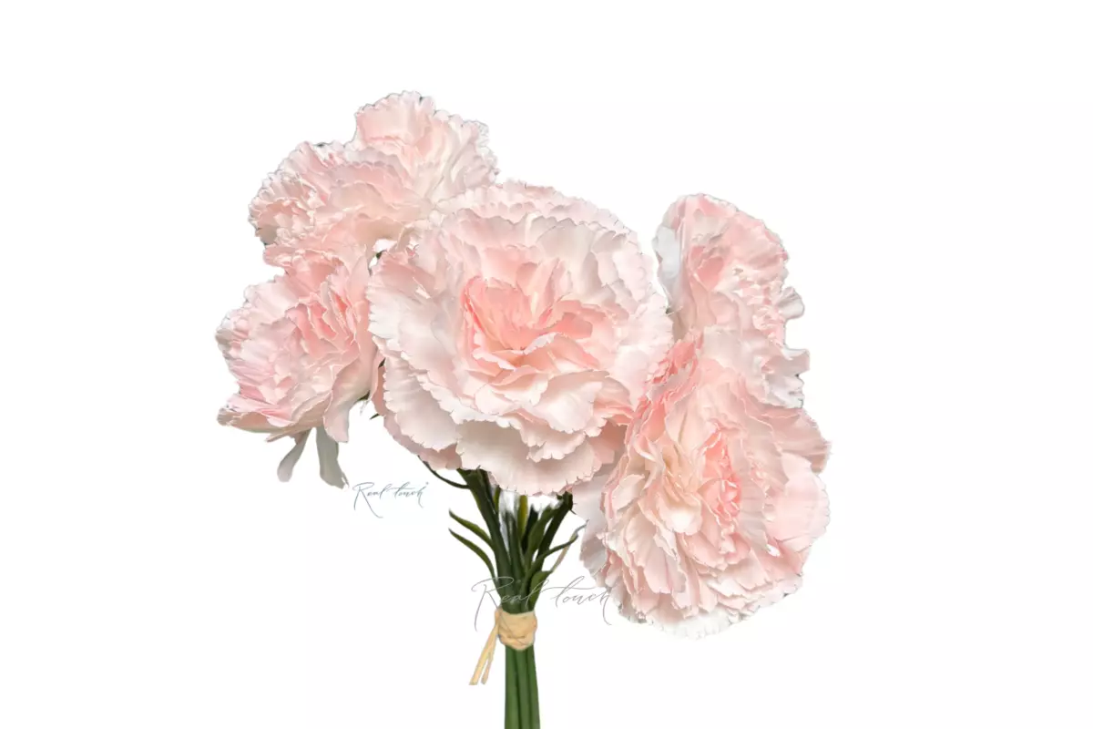 Bouquet of Carnations from 5 pieces - light pink