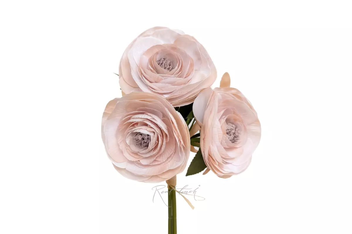 Large Camellia (Japanese) - Pink purple