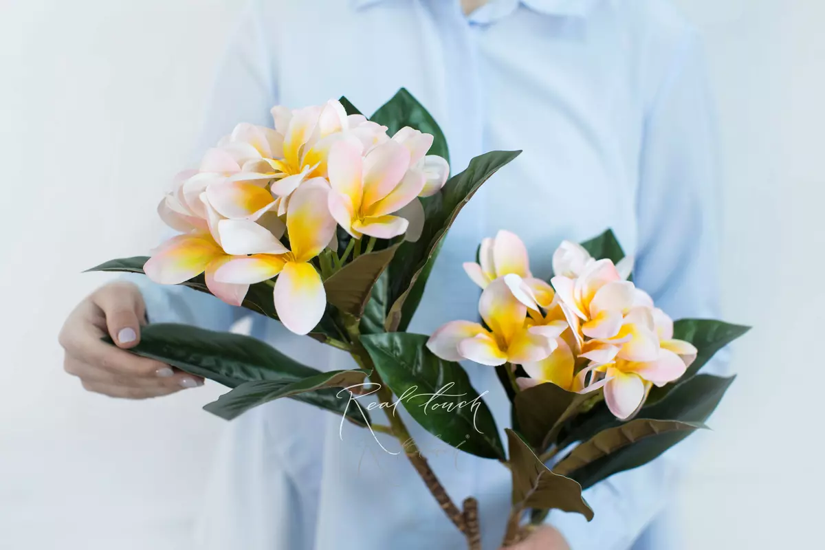Plumeria with 2 branches - light pink