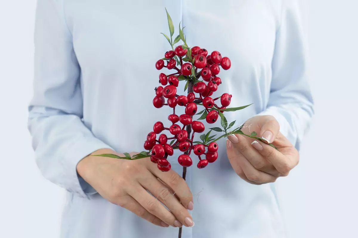 Small Snowberry branch - red