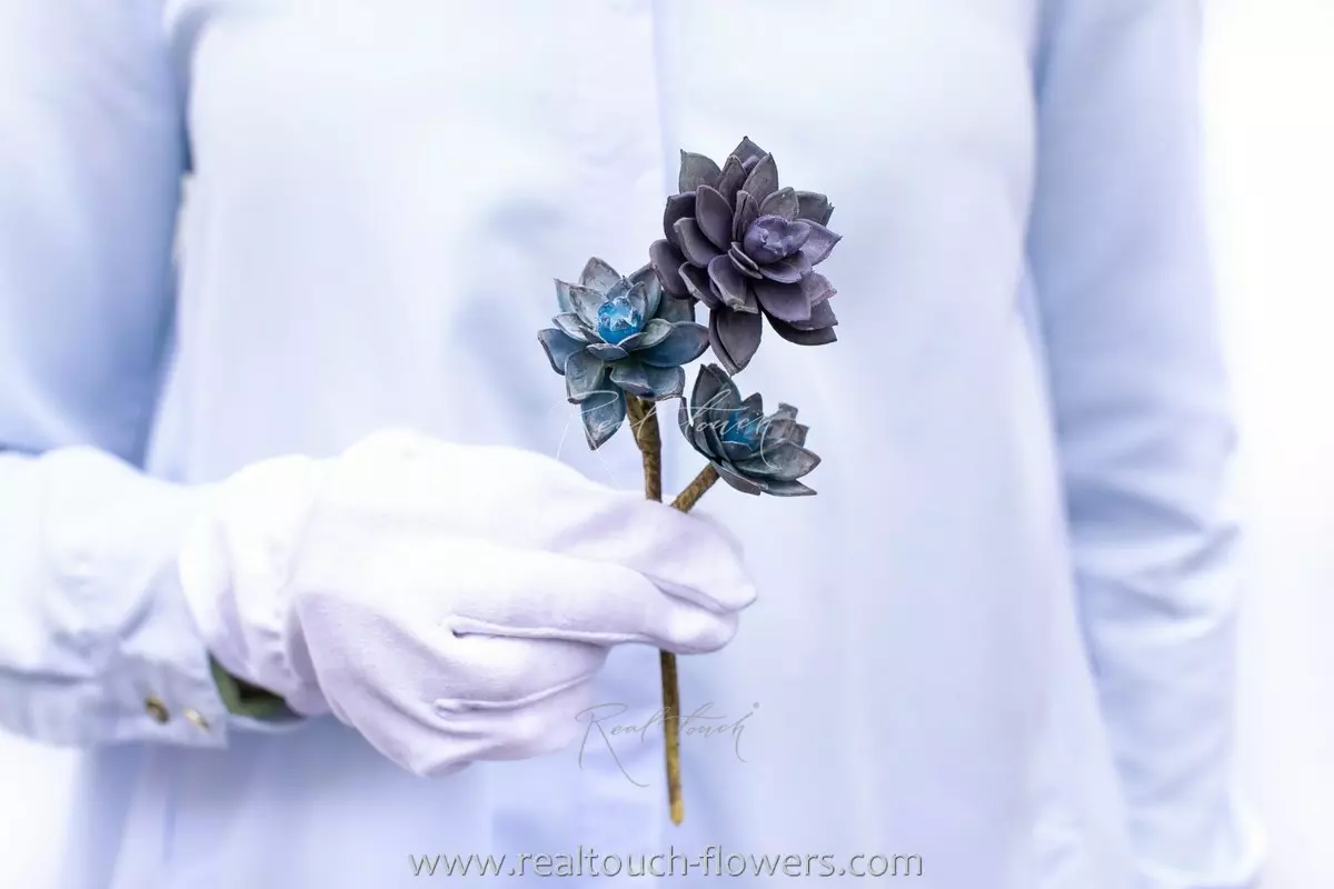 Rose mini Succulent - blue