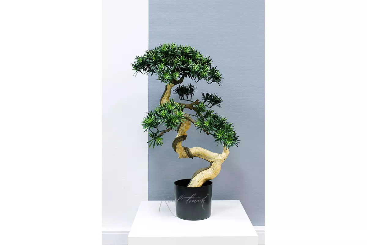 Large bonsai with leaves (white stem) - green