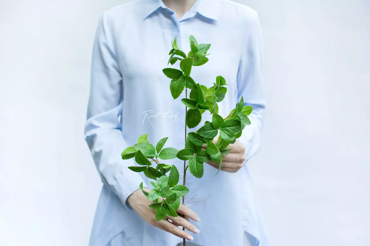 Mint branch medium - green