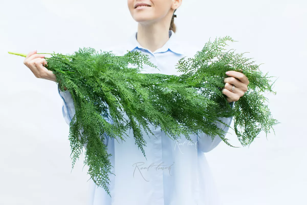 Artificial hanging Asparagus Cirrus new - green