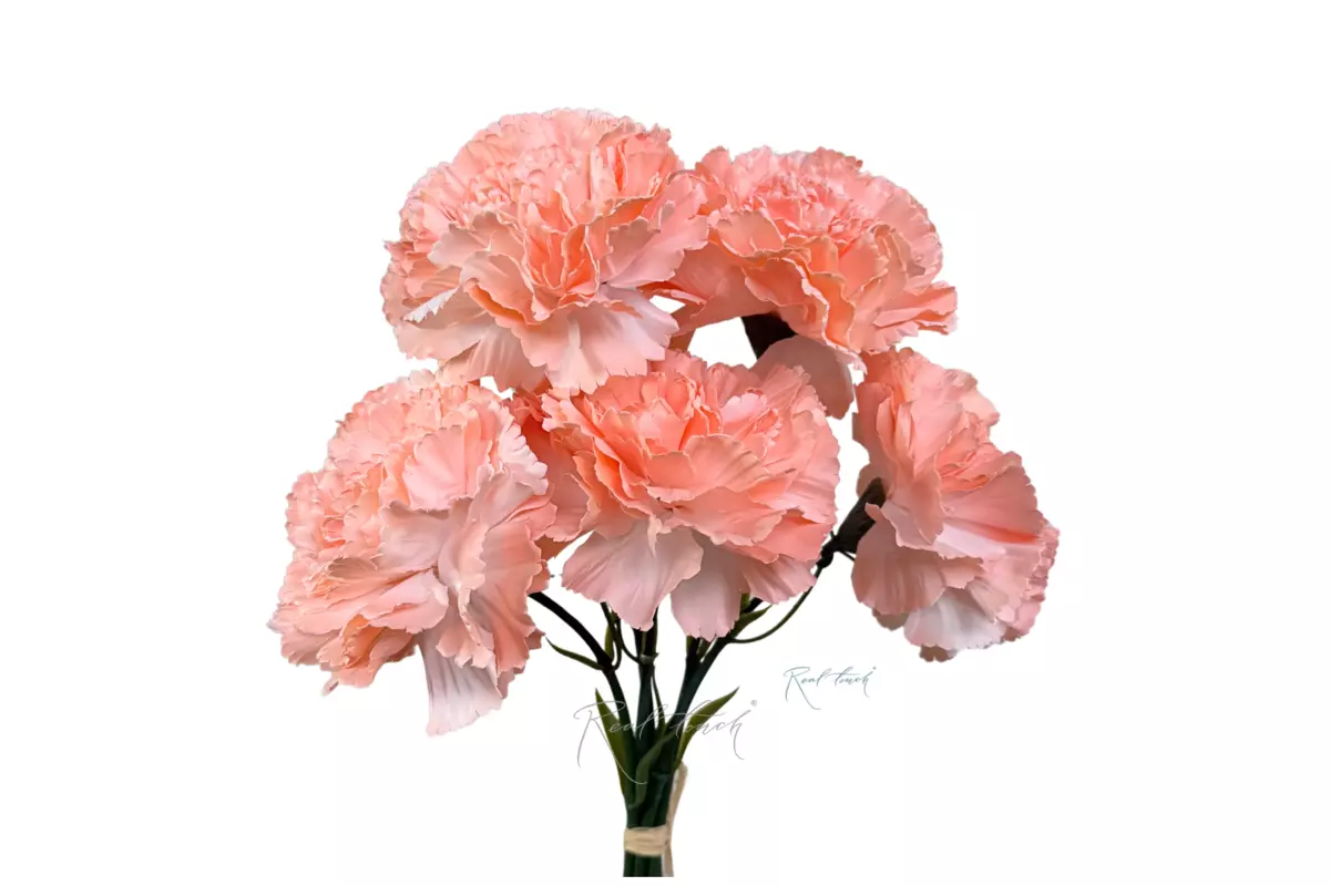 Bouquet of Carnations from 5 pieces - orange