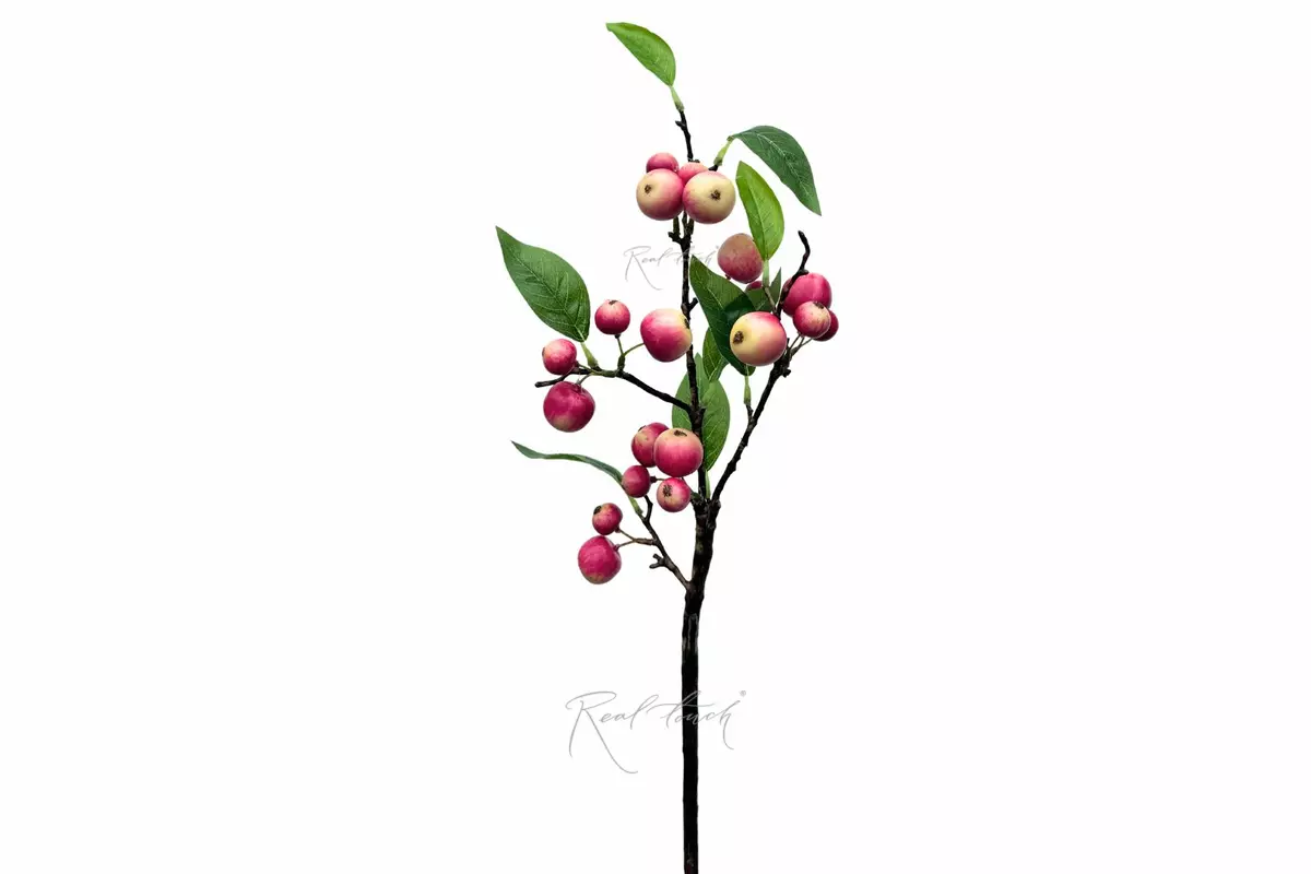 Apple branch - pink