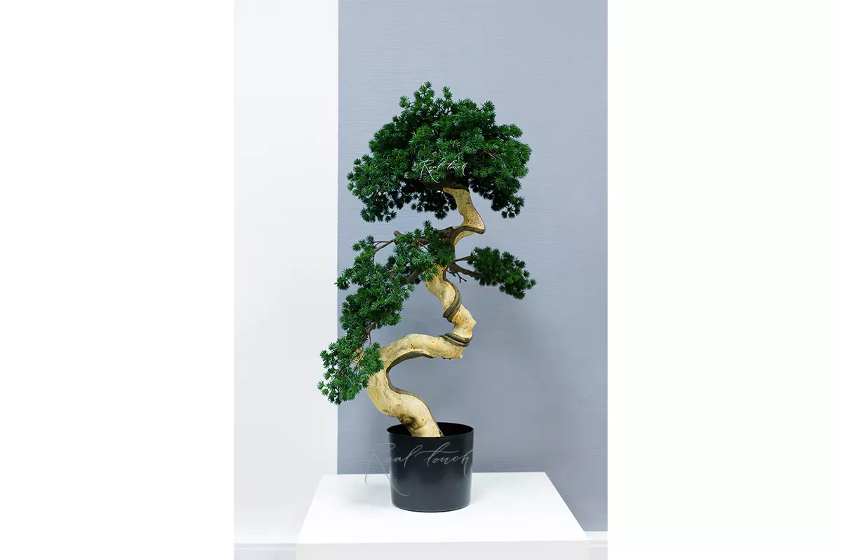 Pine needle bonsai (white trunk) - green Pine needle bonsai (white trunk) - green