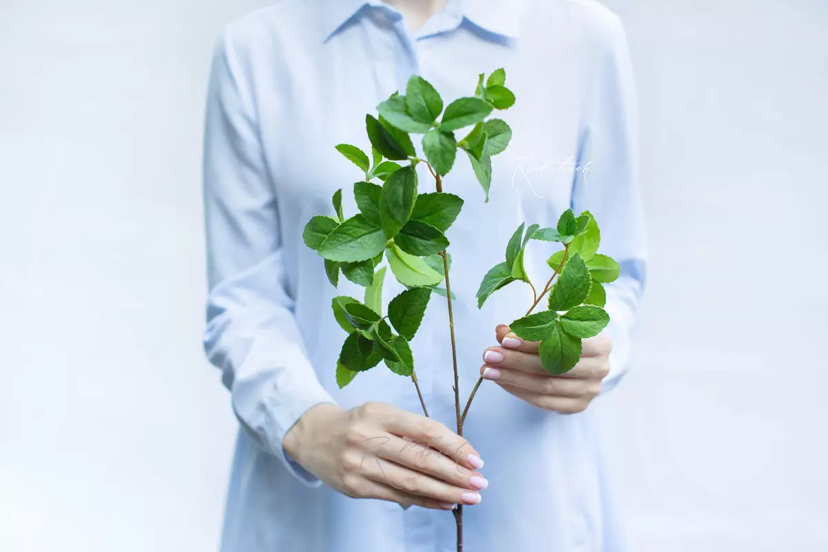 Mint branch small - green Mint branch small - green